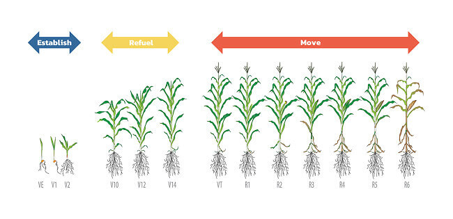 Pain Points 01 Reducing NPK 1
