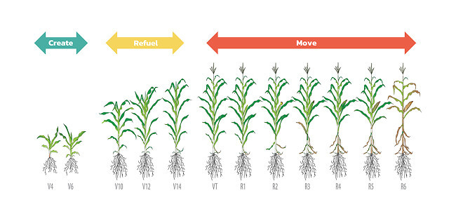 Pain Points 04 Reactive 1