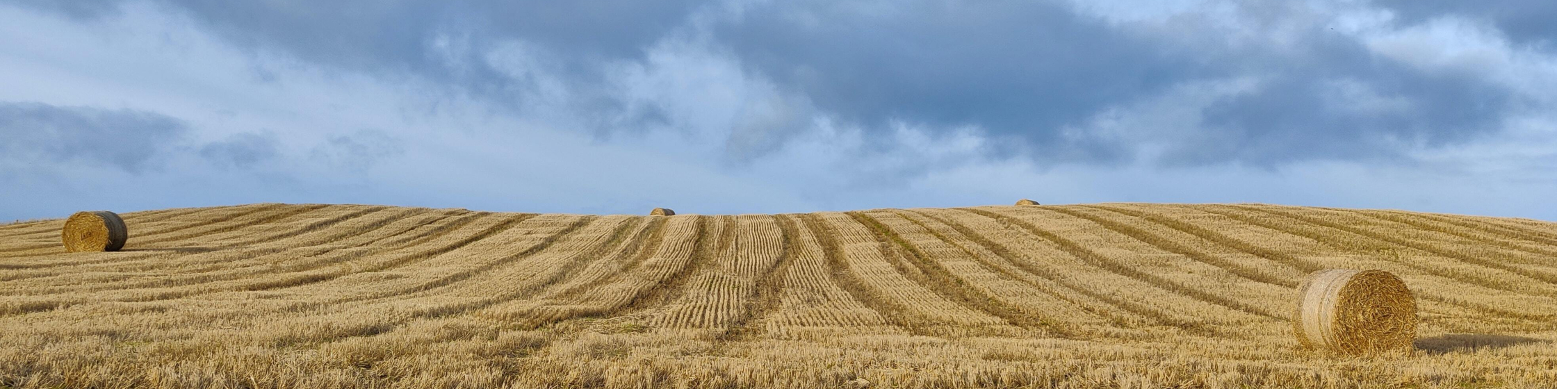 Leon mcgregor Zk3 Z Upz Sp8c unsplash