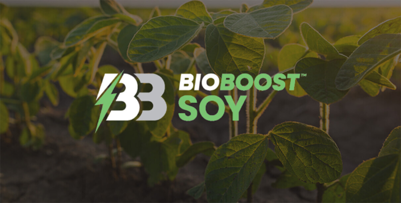 Vector Smart Object2