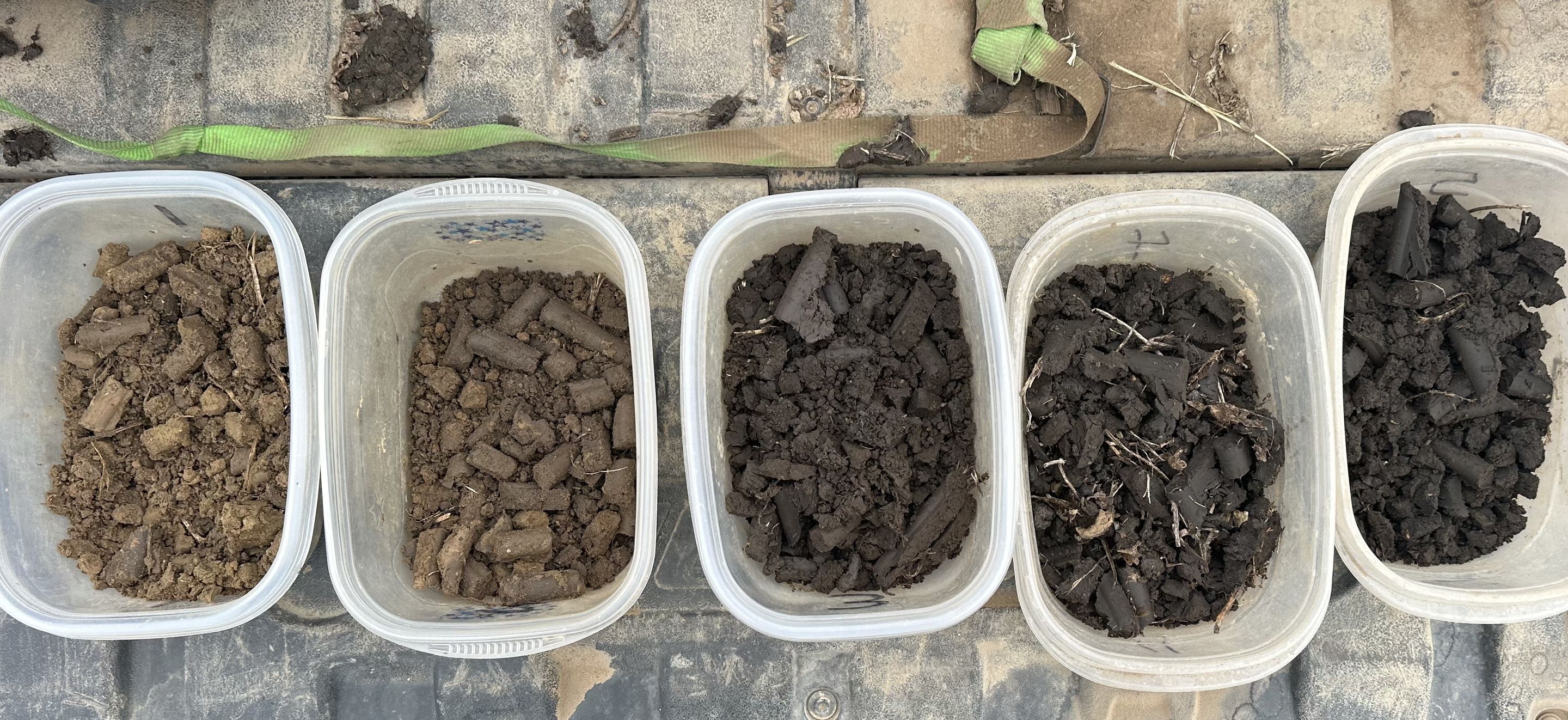 Soil samples in containers