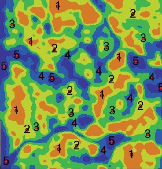BaselineRx zone sample points