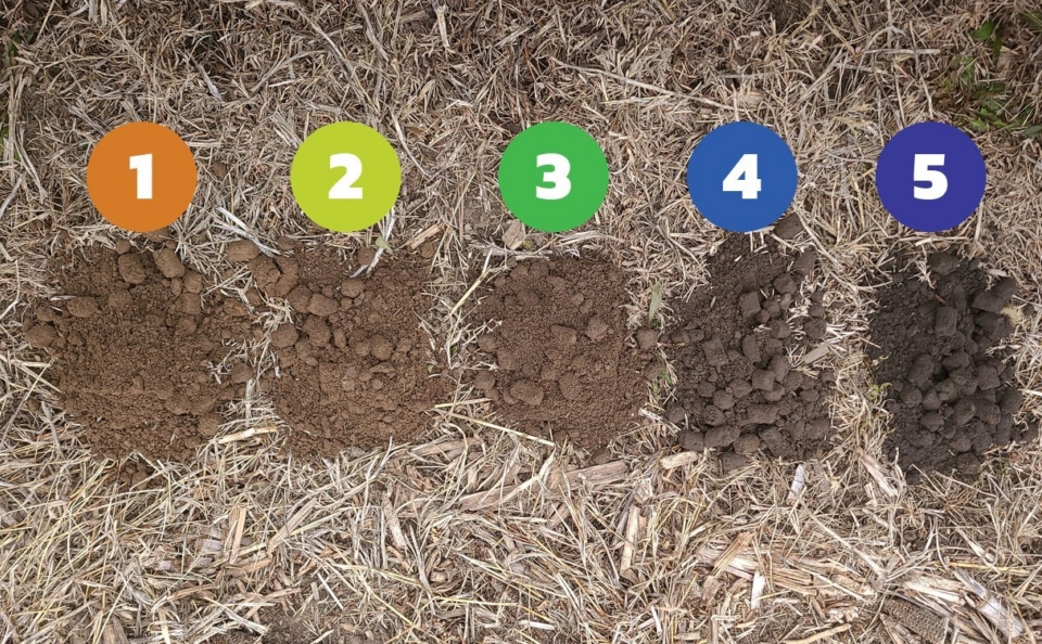 Soil samples from five zones of the same field