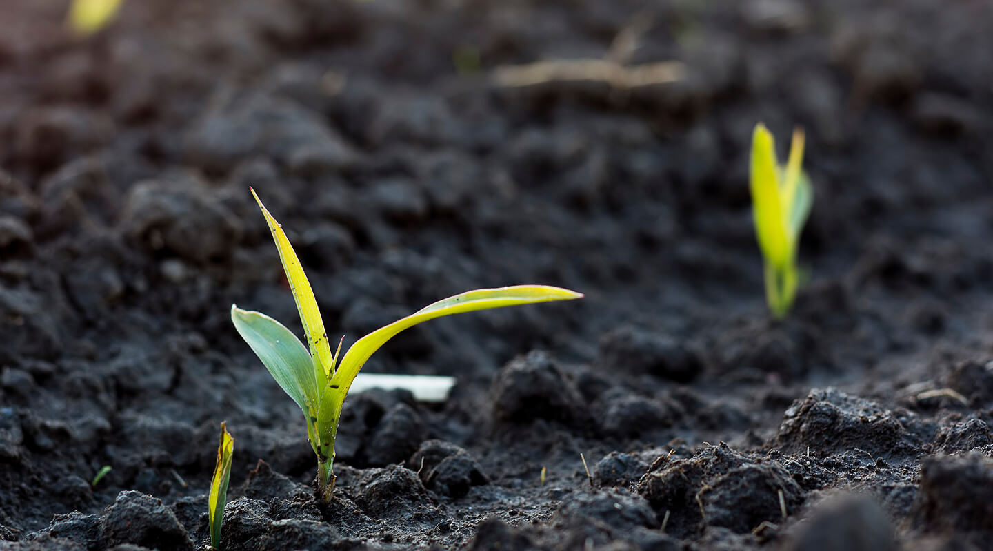 Put less in get more out