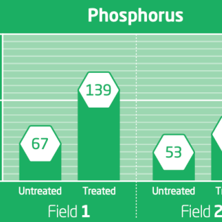 Phossphorus