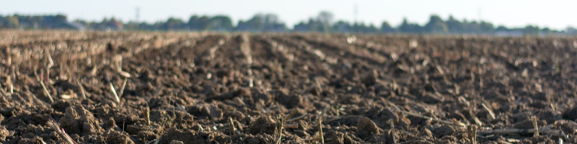 Pexels jan kroon 1000057