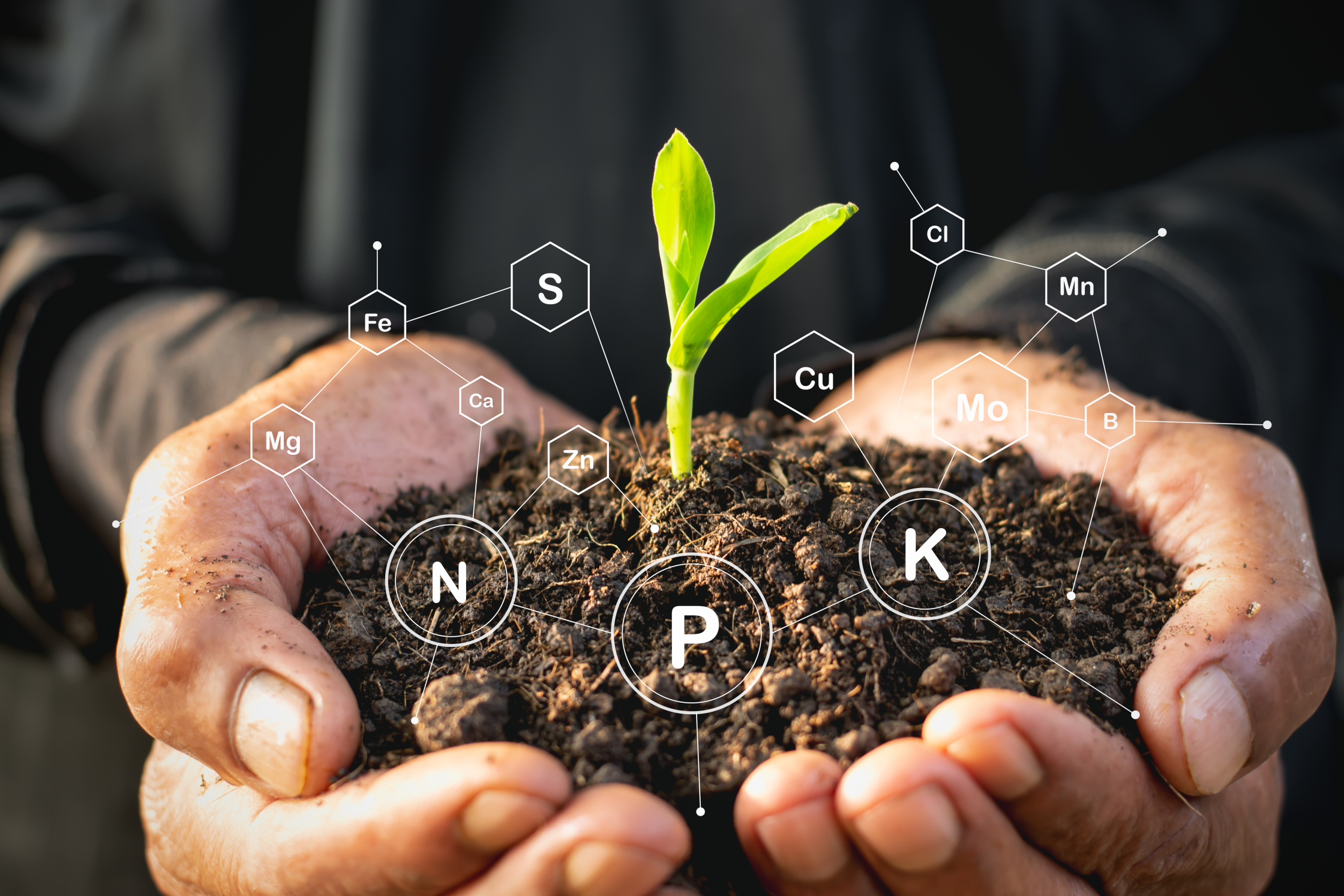 Adobe Stock 307972696