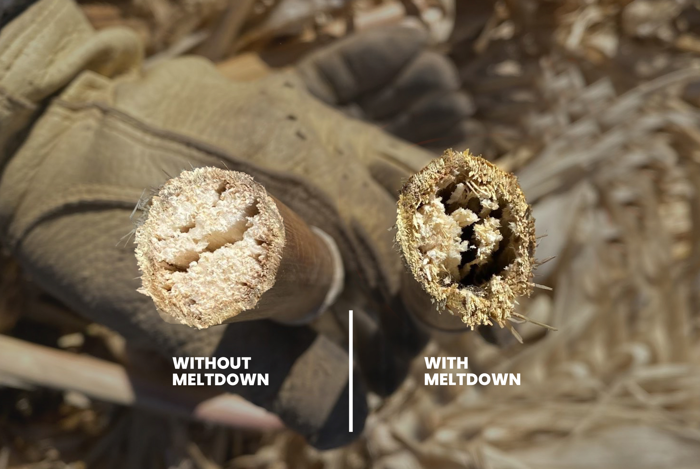 Meltdown Applied in Texas 2021