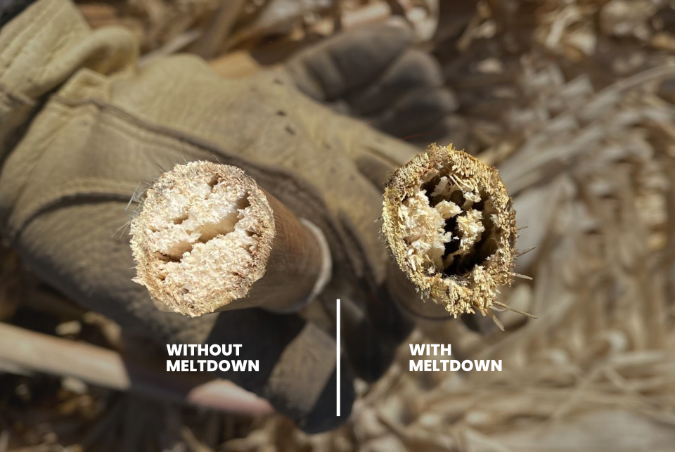 Meltdown Applied in Texas 2021