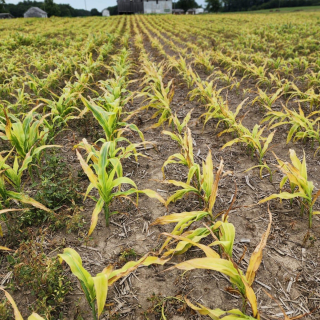 PHOTO 2024 06 28 14 14 52