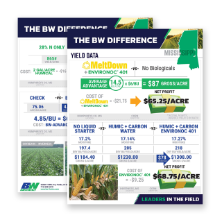 BWF Landing Page Case Studies 02