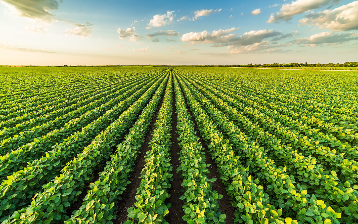 Service provider banner