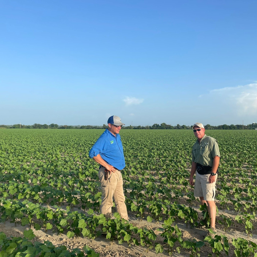 292281783 404326301672370 6298165381179670296 n