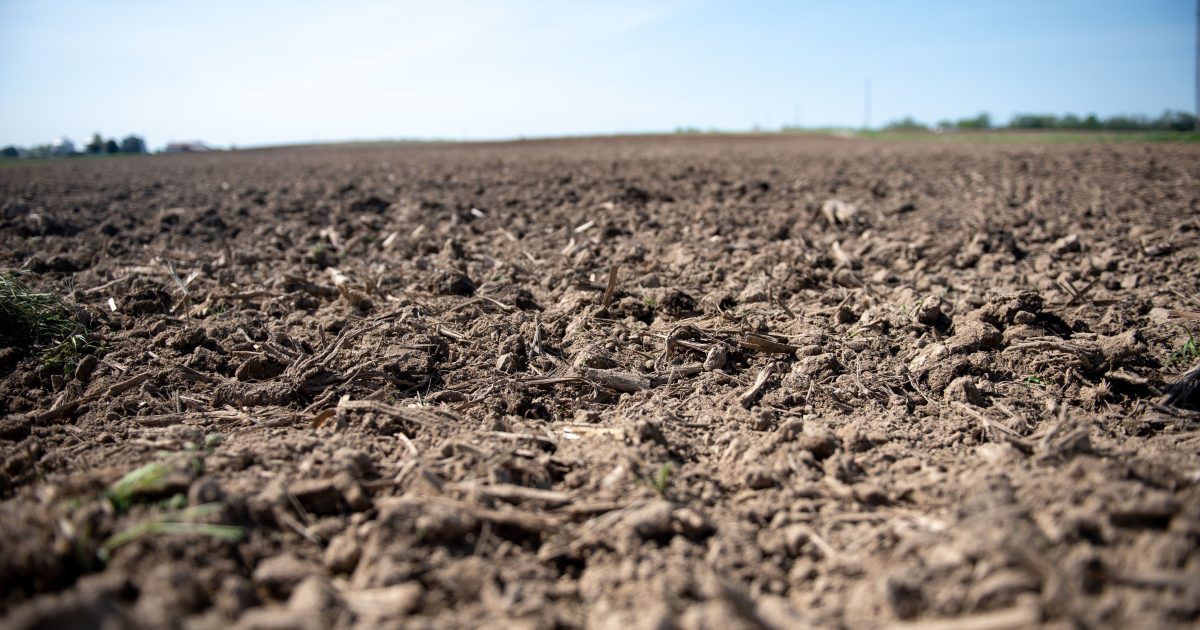 Maximizing Fall Fertility | BW Fusion