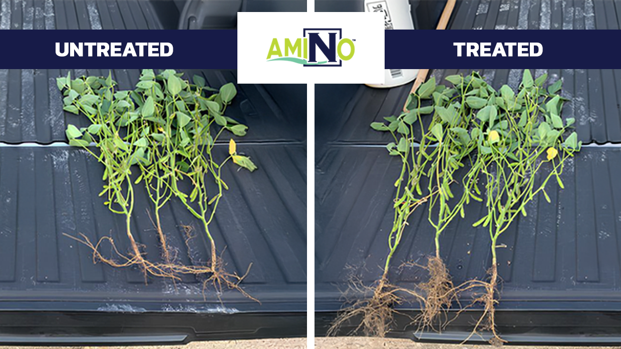 BWF Stress Less Treatedvs Untreated Amino v2