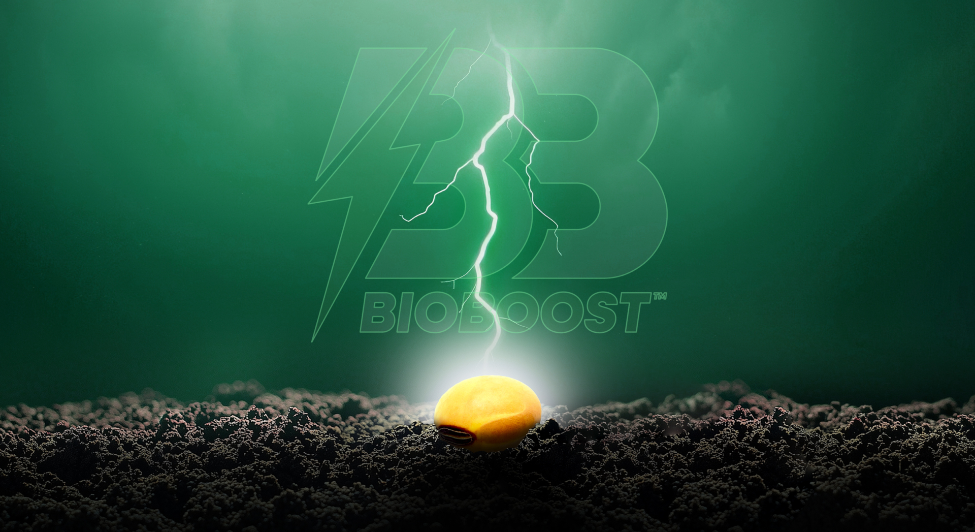 Bio Boost Landing Page Background