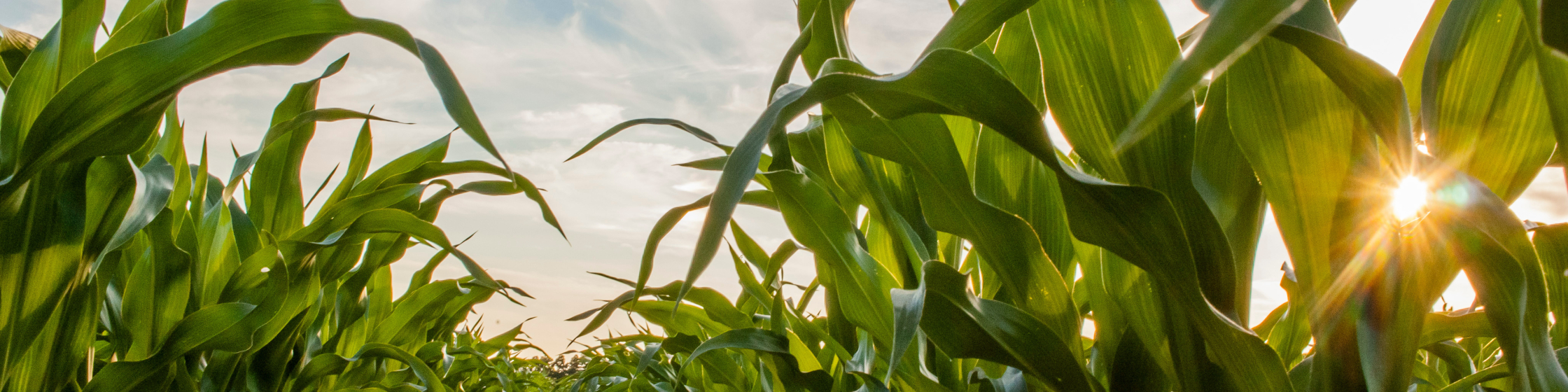 Adobe Stock 162644793