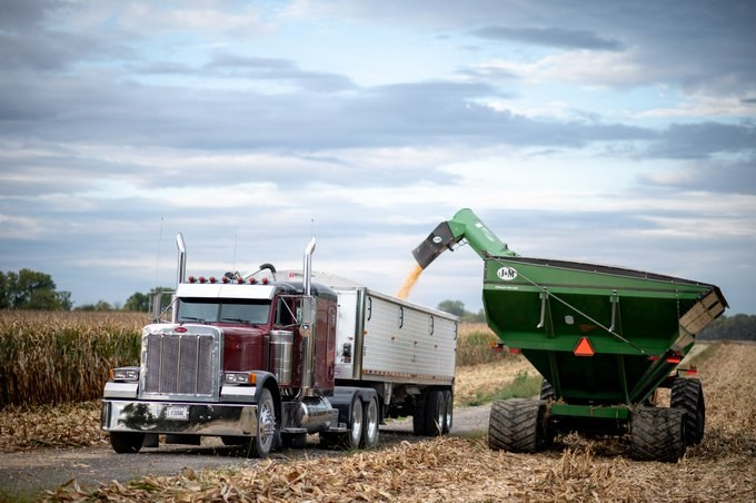 Grain cart unloading into semi