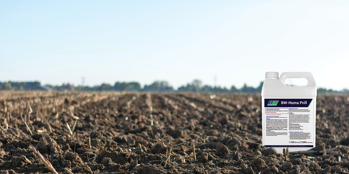 Huma Prill Blog Photo