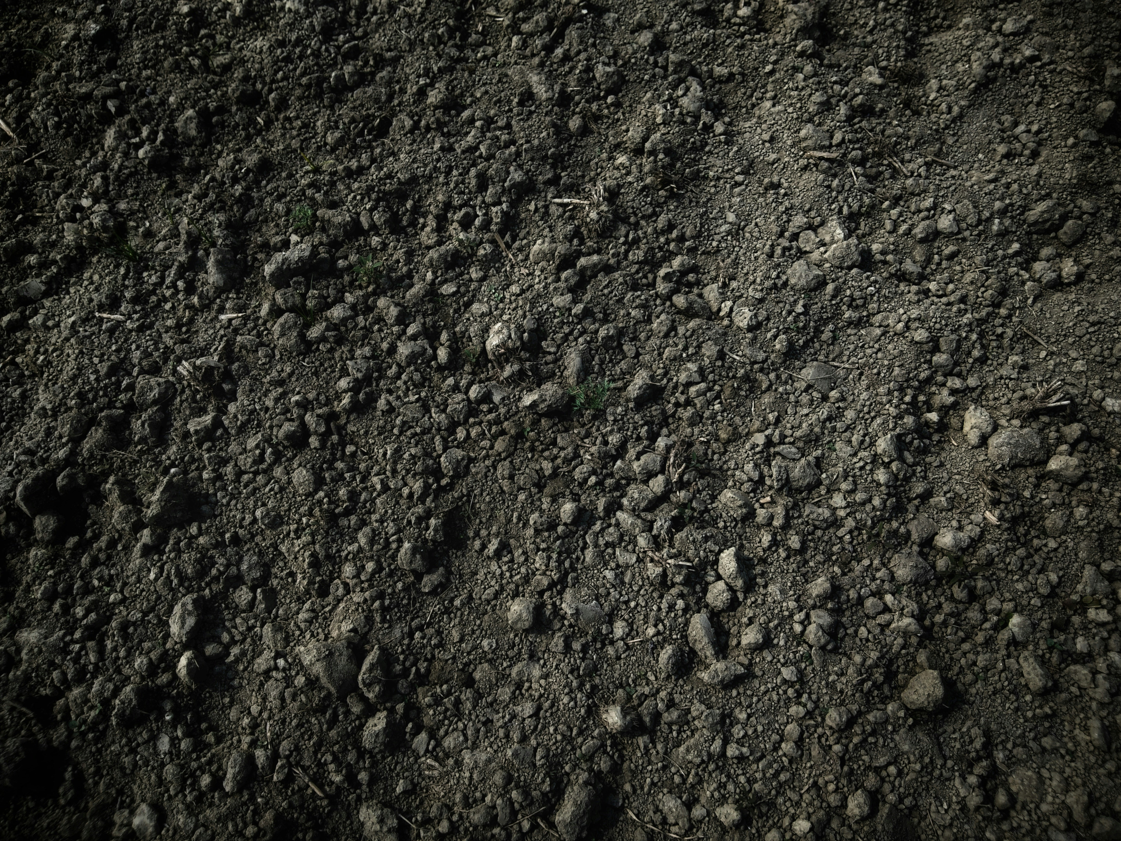 Avinash kumar r EI Dzqcz N7s unsplash