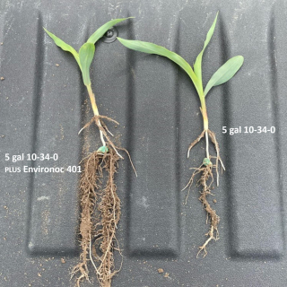 401 and Starter vs Starter Only Nebraska 2021