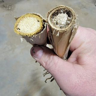 3 23 23 meltdown sprayed week of thanksgiving