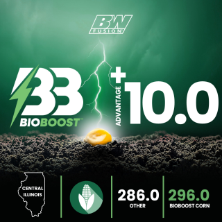 Central Illinois Corn 10bu