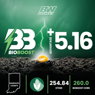 Chalfant Randolph County Corn