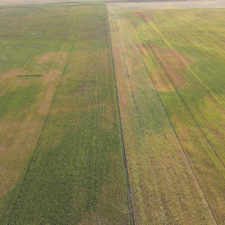 PHOTO 2022 09 21 18 13 28