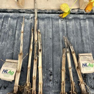 PHOTO 2022 10 03 10 12 17