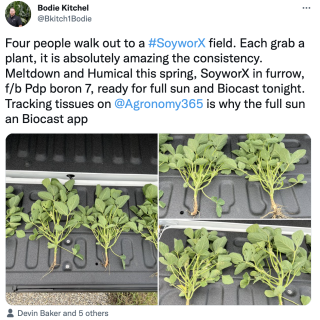 Humical + SoyworX + Meltdown