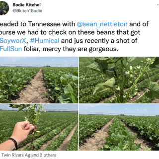 Humical + SoyWorX + Full Sun