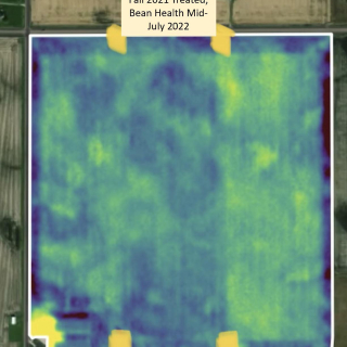 Sprayed off 40 acres of meltdown last fall on stalks in the center of this 120 no till beans this year. This is health imagery mid July.
