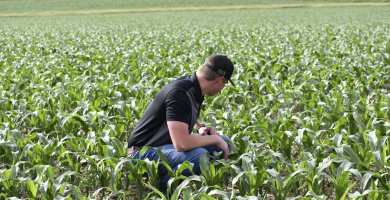 Farmer in corn field