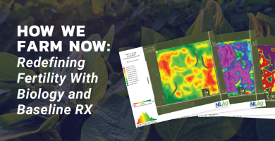 BWF 2026 Blog Baseline Rx