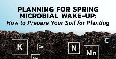 BWF 2026 Blog Wake Up