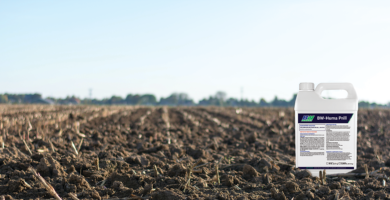 Huma Prill Blog Photo