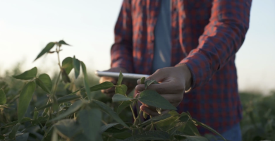 Utilizing Agronomy 365 with BW Fusion