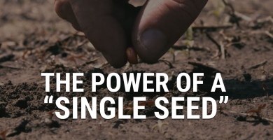The Power Of a Single Seed