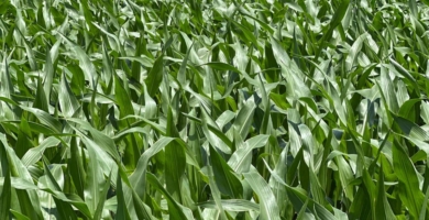 Whats App Image 2025 06 18 at 21 06 14