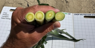 Whats App Image 2025 06 20 at 20 11 15