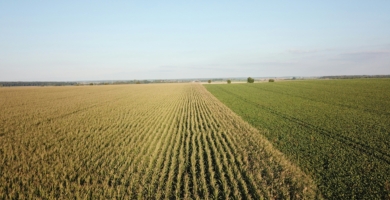 Sandor fehervari Ta Q Xelj NE8g unsplash