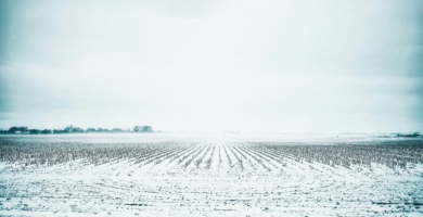 Shot by joe Ie5t Es5 VF Sc unsplash