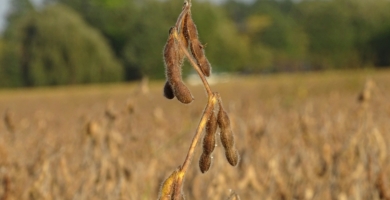 Steven brown EB Pgd YO Ck IQ unsplash