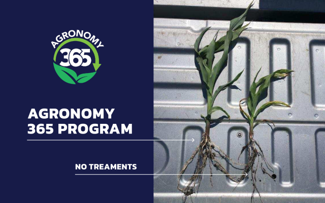 BWF1121 03 22 06 Landing Page