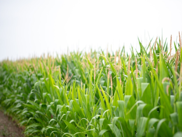 316691062 492806606157672 1651765570041235467 n