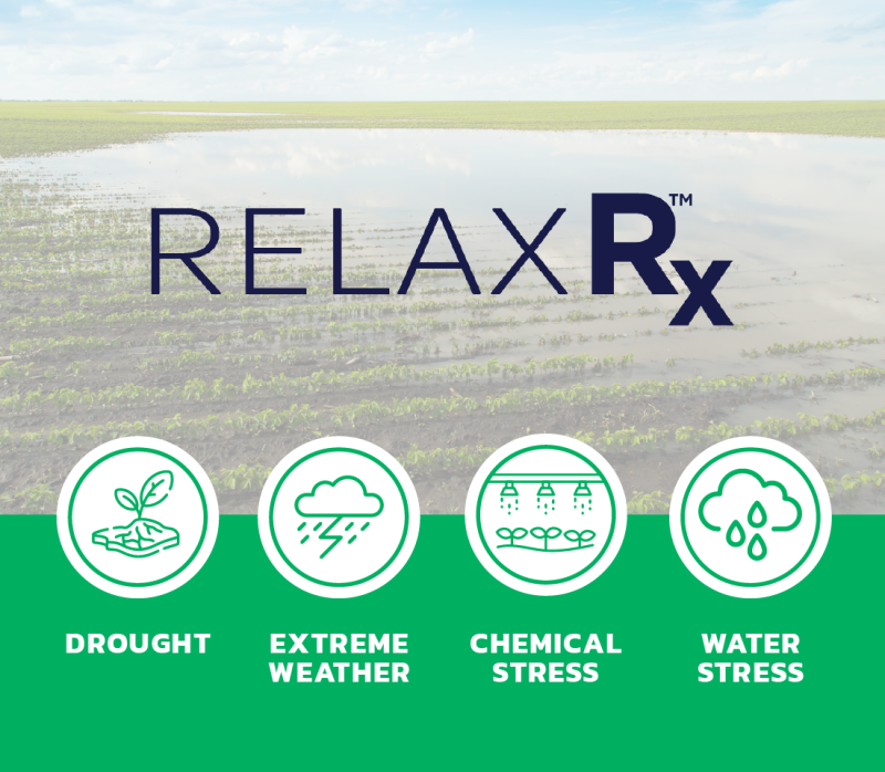 BWF 2025 Stress Less Header Images Header 02