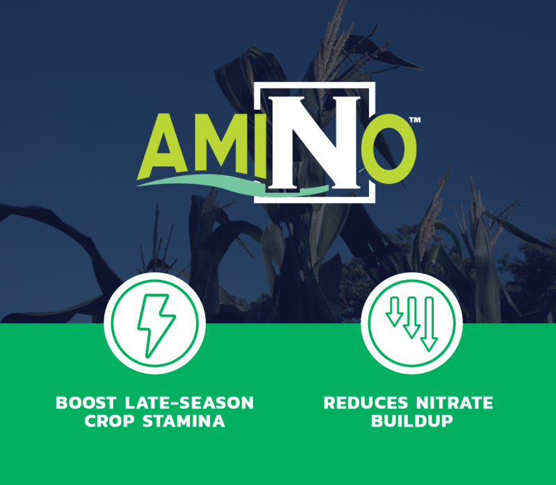 BWF 2025 Stress Less Header Images Header 03