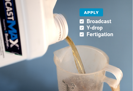 BWF Biocast MAX Product Images 01