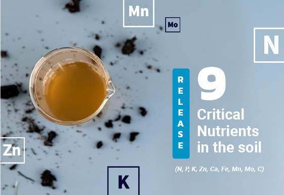 BWF Biocast MAX Product Images 02